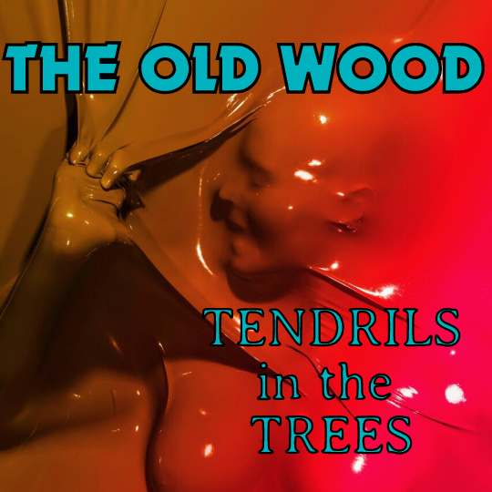 The Old Wood 8