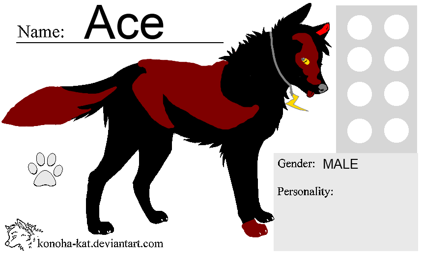 Ace The Wolf