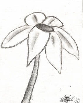 A Grey Flower