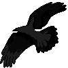 crow icon [FREE TO USE]