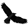 crow icon (2) [FREE TO USE] by 1sleep-and-smoke1