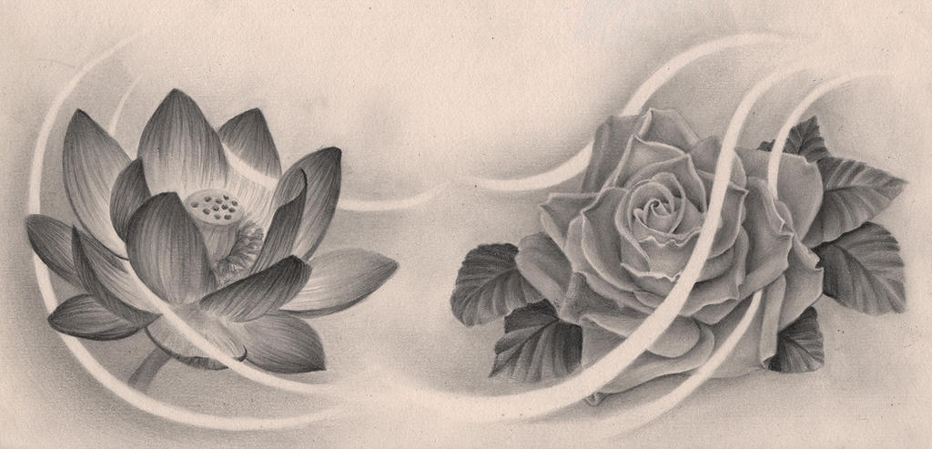 Lotus and Rose