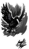 CROW