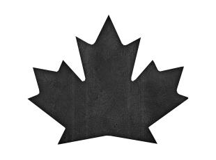 s3Canuck Logo