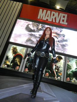 Avengers: Black Widow Files