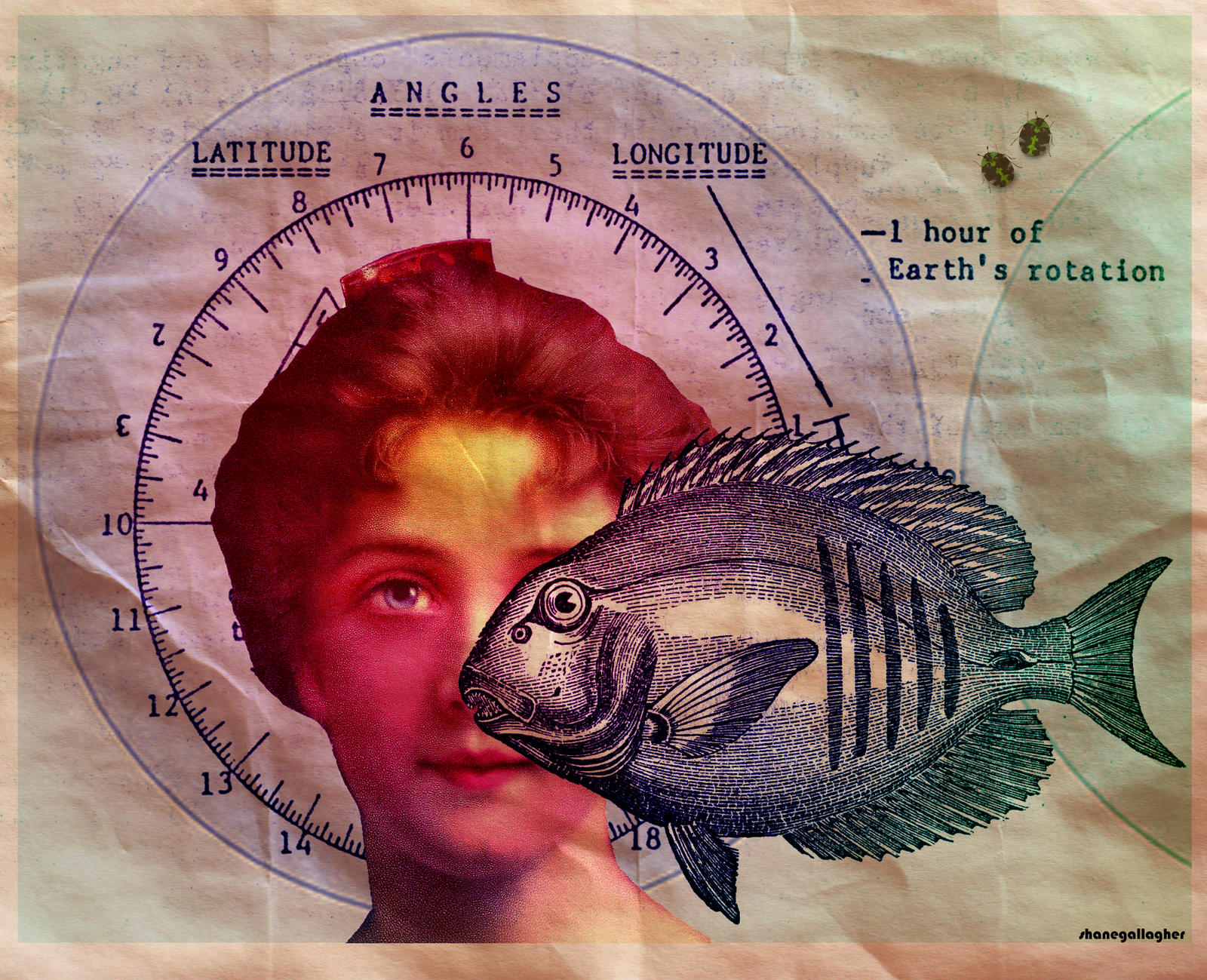 Madonna And Fish