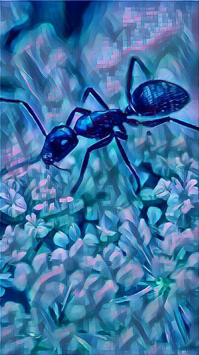 Ant Deviantart Ant by Mrartist15 on DeviantArt