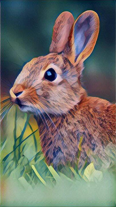 Deviantart Mini Rabbit Rabbit by Mrartist15 on DeviantArt