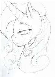 Rarity WIP