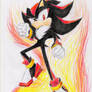 Shadow the Hedgehog ...again