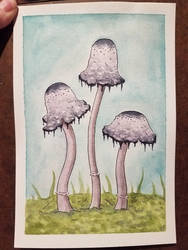 Mushrooms