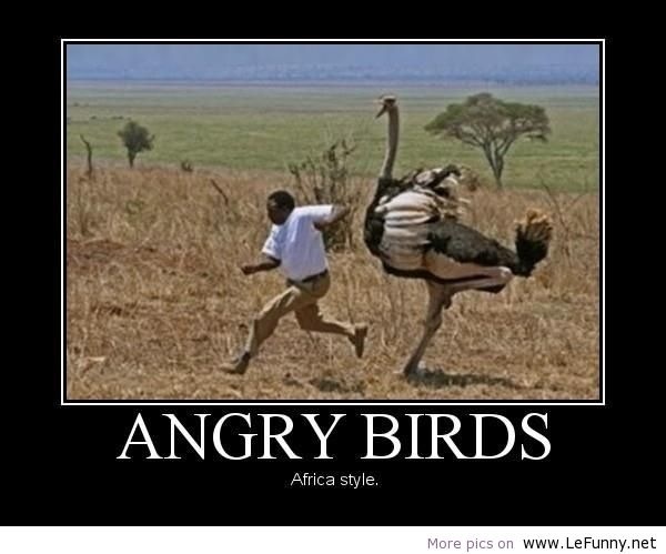 Angry birds