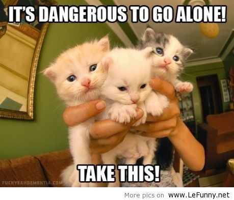 dangerous to go alone