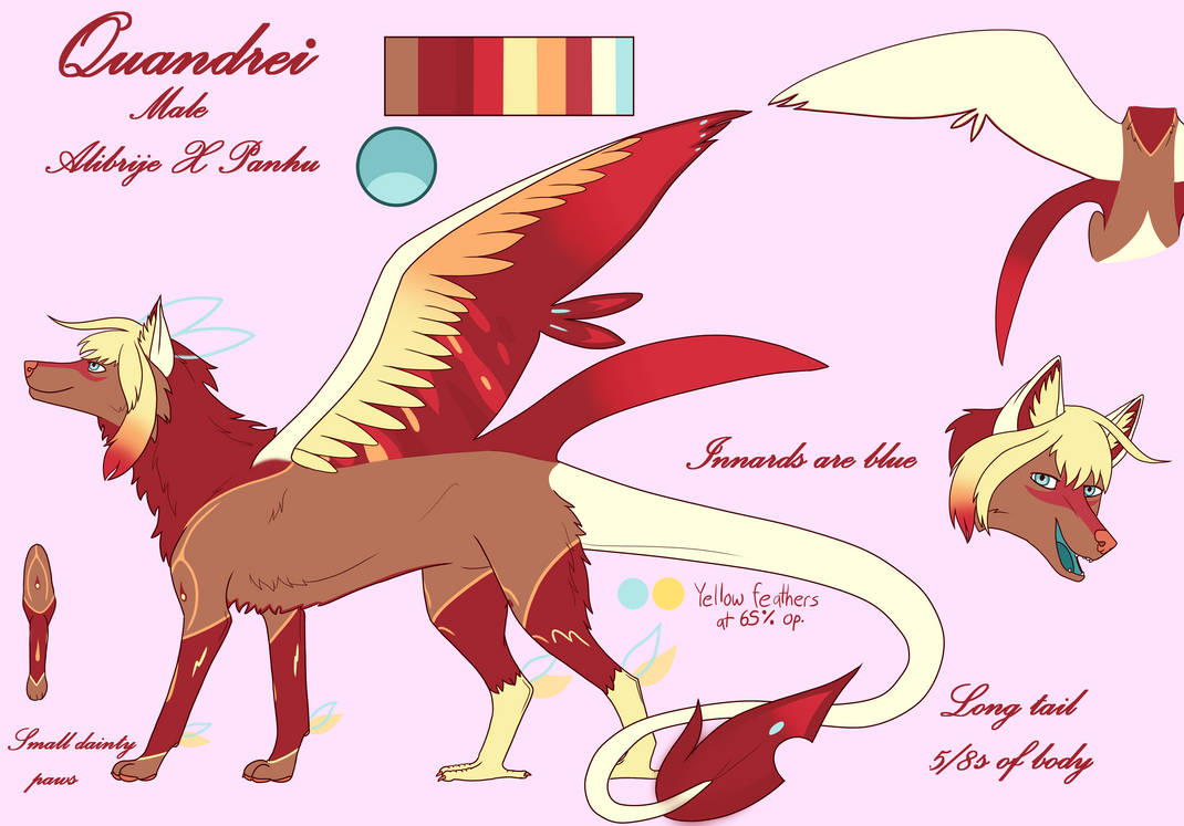 Quandarius Deviantart Quandrei Ref by TheRandomHybrid on DeviantArt