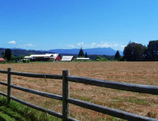 Farm In Mid-Feild