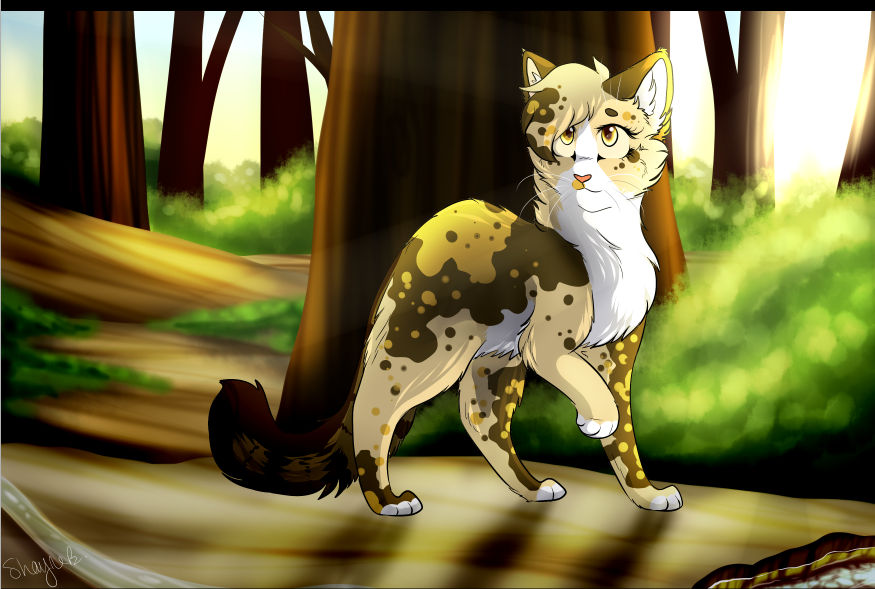Spottedleaf Wc Warrior Cats Spottedleaf Spottedleaf | Warrior Cats