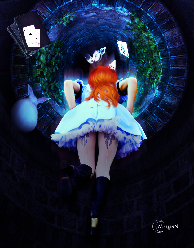 Price of curiosity by maelinn