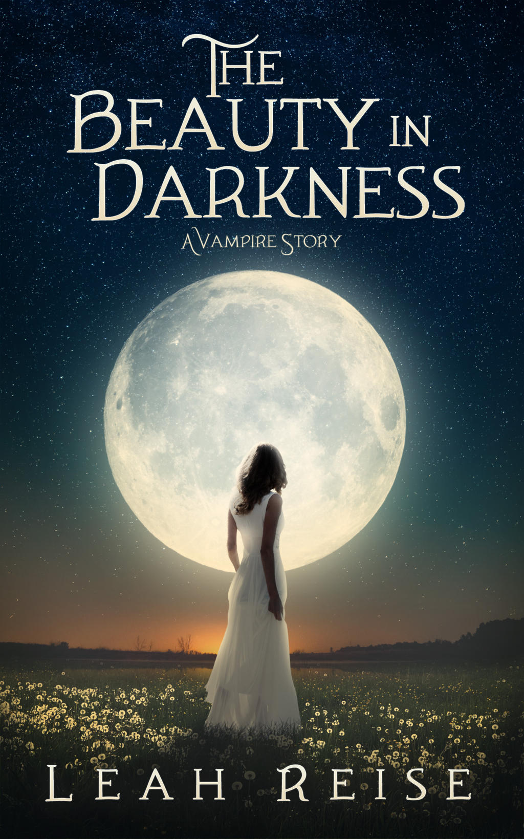 Book Cover Design for The Beauty in Darkness by ebooklaunch