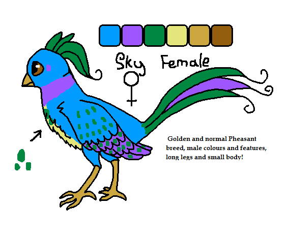 Sky the pheasant ref