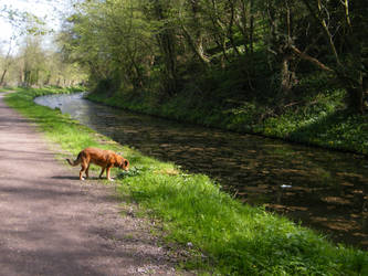 the canal - as usual