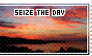 Seize The Day Stamp