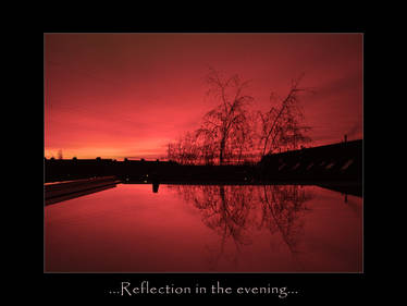 Reflection in the evening