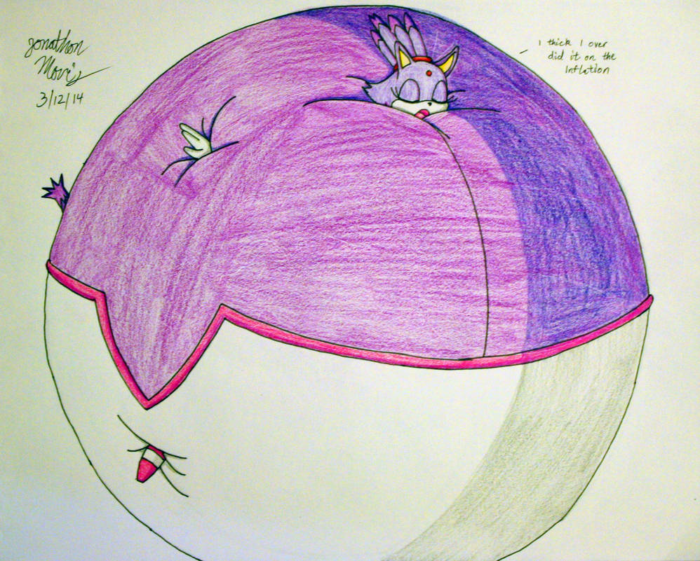Top Cat Inflation Request blaze the cat inflation jam4077 deviantart by Corey3-5 on ...