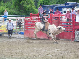 31 goshen rodeo