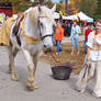 033 ct ren faire