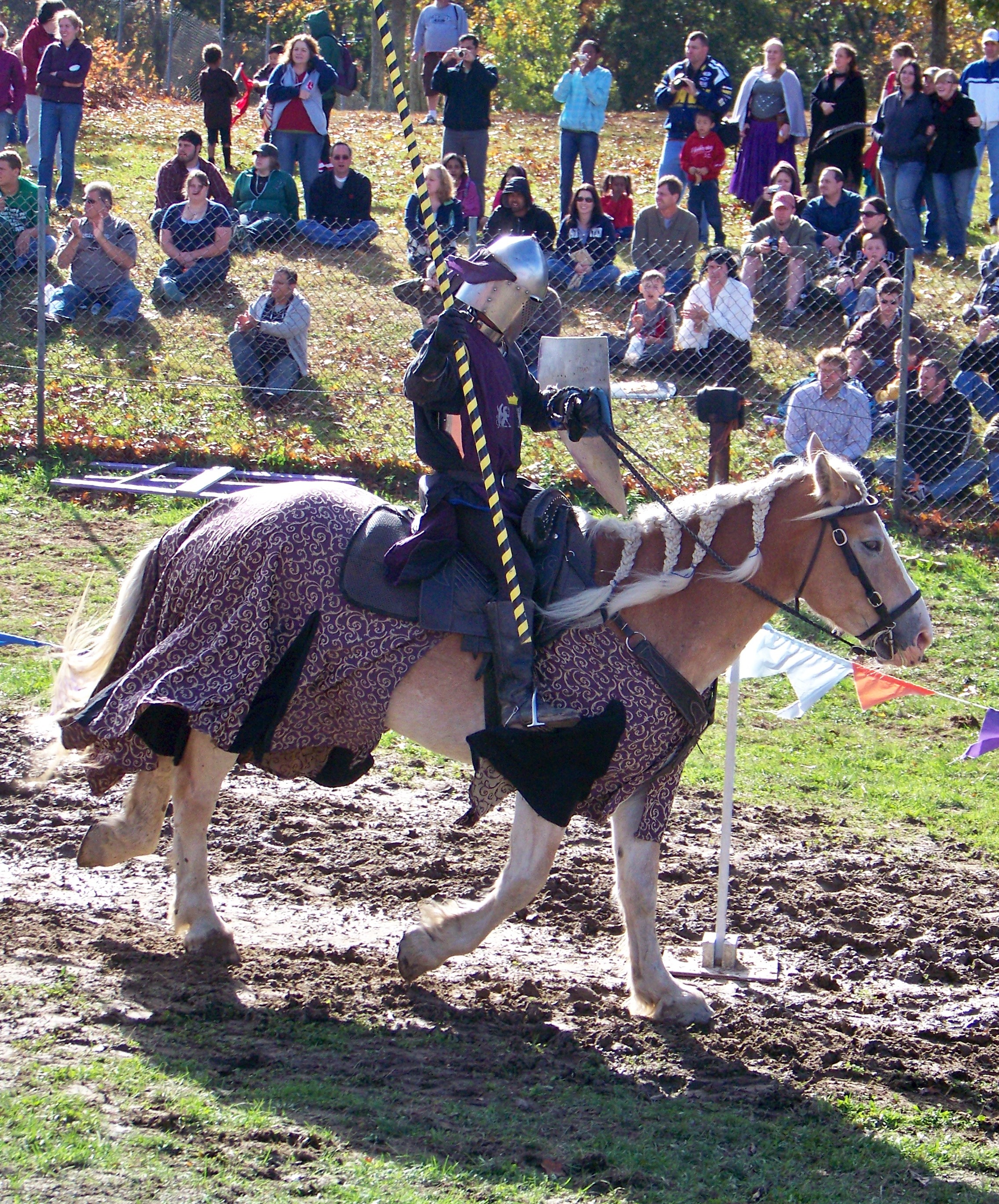 111 ct ren faire