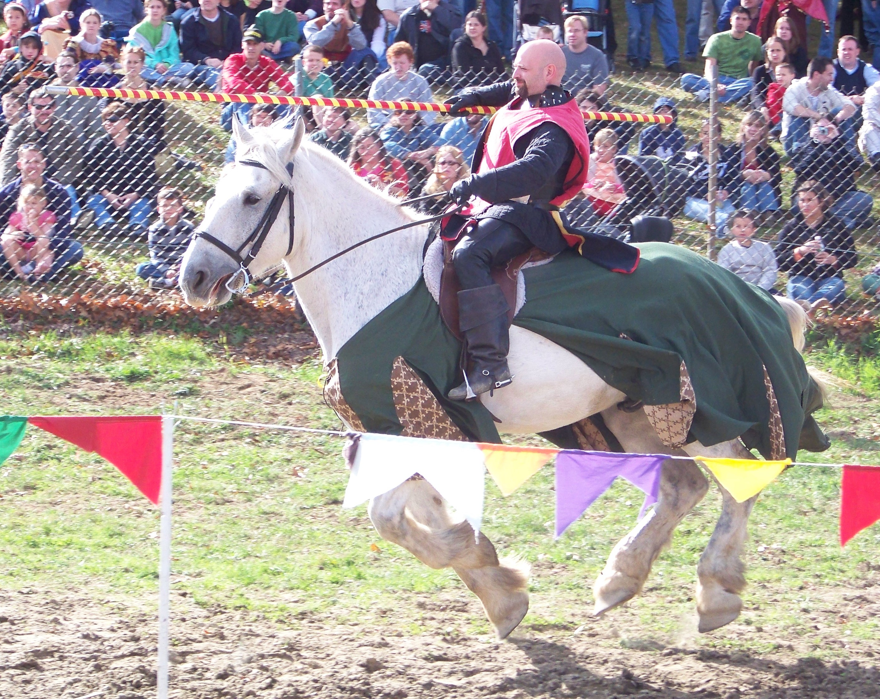 119 ct ren faire