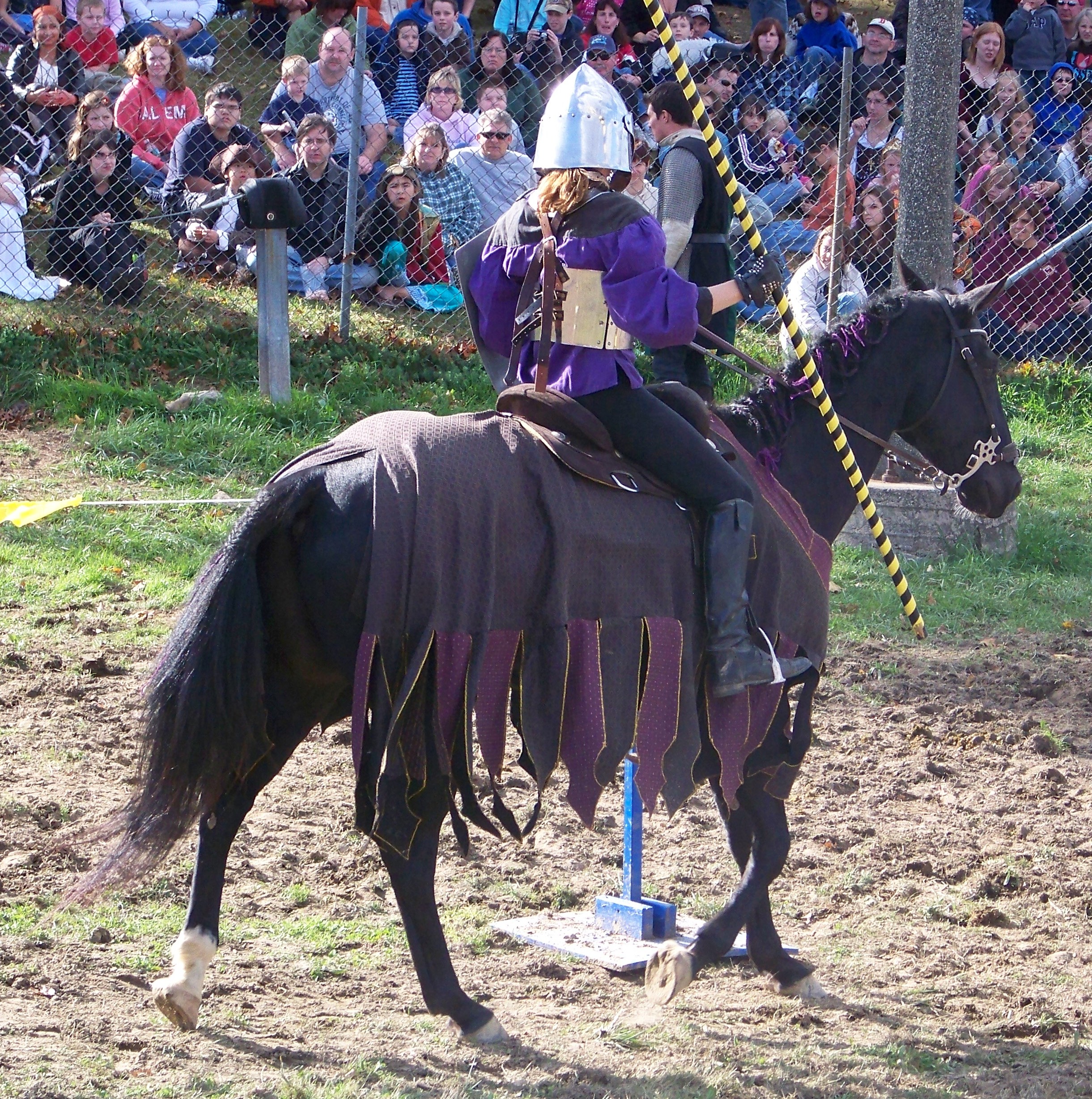 132 ct ren faire