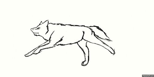 Wolf run cycle