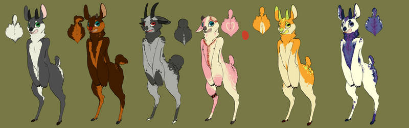 GOAT ANTHRO ADOPTS (reduced price)