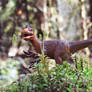 Utahraptor