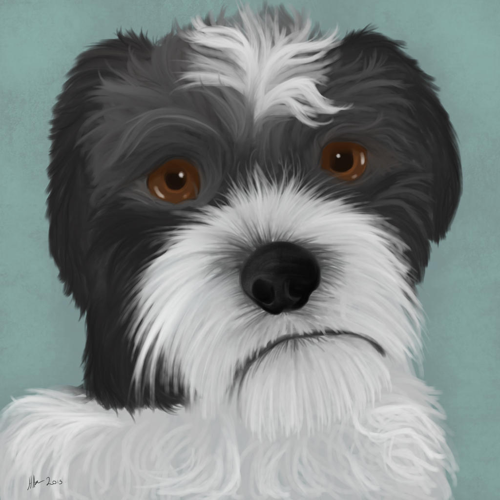 Mochi Portrait