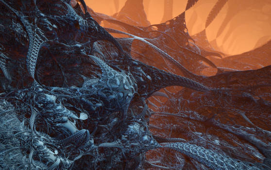 Amoser's domain
