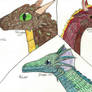 3 Types of Dragons