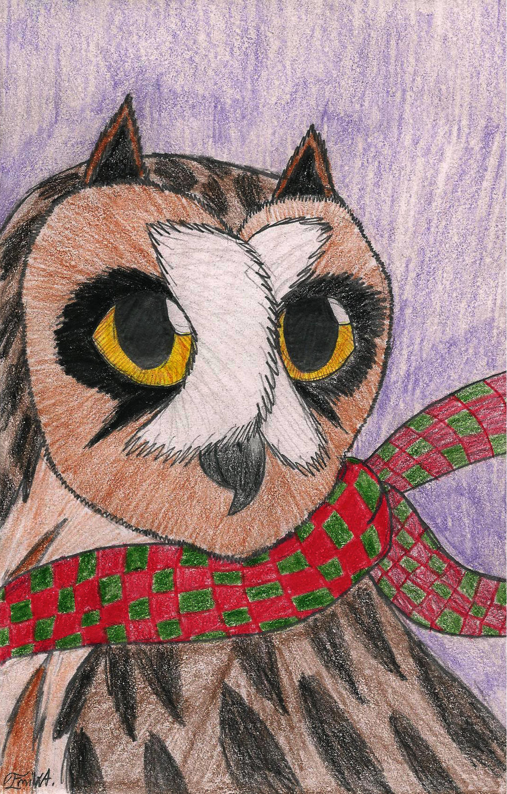 Short-Eared Owl Holiday Card