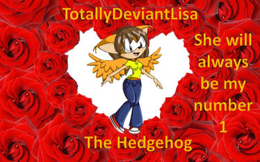 Lisa the hedgehog (A.K.A: A Present for Lisa)