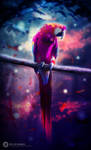 T H E P A R R O T by Ata-Ur-Rehman