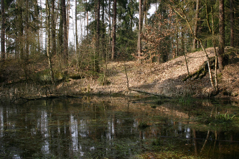 Forrest and Lake Stock 06