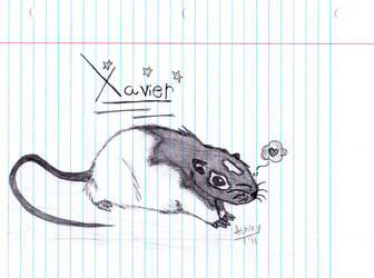 Xavier Rat