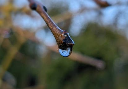 Reflections in a raindrop 2