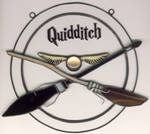 quidditch by toroj