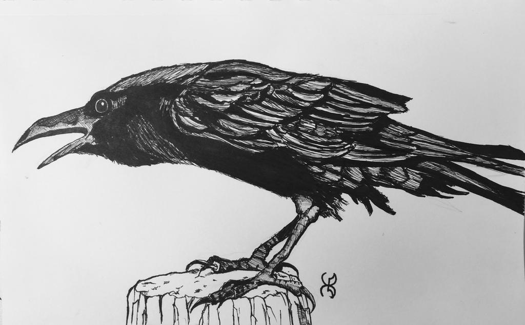 Drawlloween Day 11: Raven