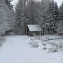 Winter forest and a cabin