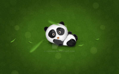 The baby panda