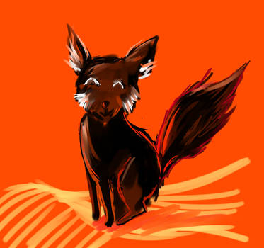 Black Fox for Misa