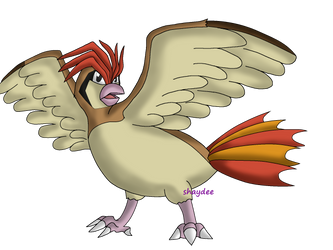 AT with KatyTheBatHH - Pidgeot by The-Real-Shaydee